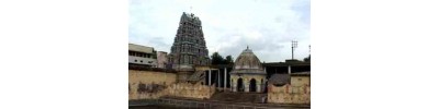 13. திருவிண்ணகர்